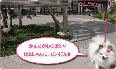 きれいになりまちた_C