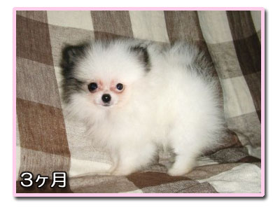 BABYあむA