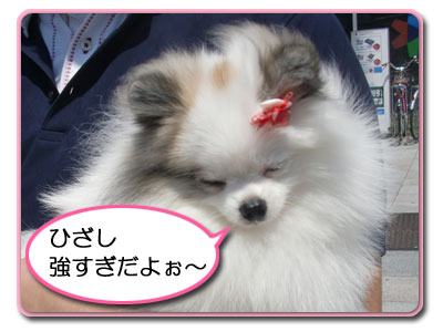 あついよぉ~_A