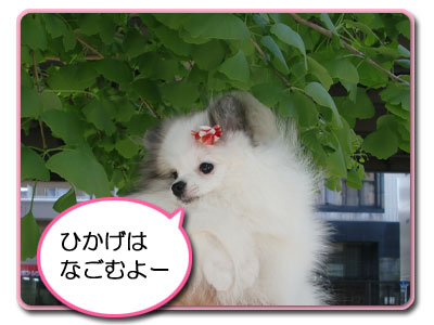 あついよぉ~_B