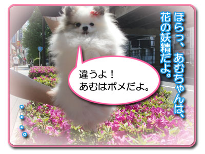 あついよぉ~_C