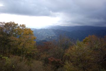 IMGP3895.jpg