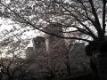 hana201205