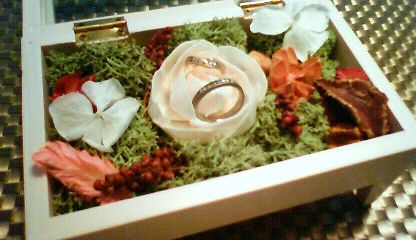 201111091545000.jpg
