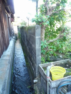 s-P1040697.jpg