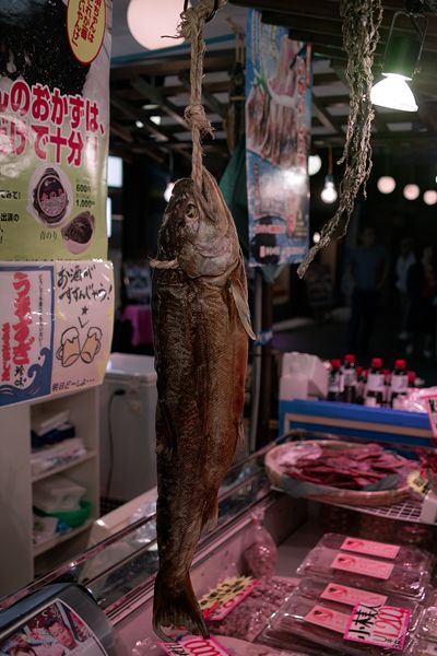 SDIM3114.jpg
