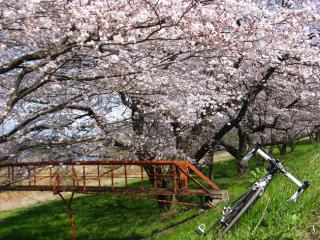 130331kiso-ninose-001.jpg