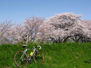 130331kiso-ninose-048.jpg