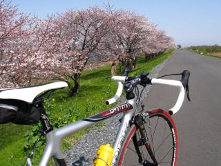 130331kiso-ninose-067.jpg