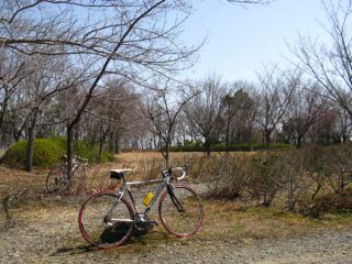 130331kiso-ninose-073.jpg
