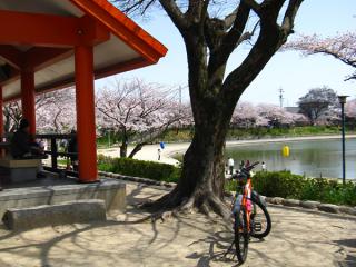 130331kiso-ninose-103.jpg