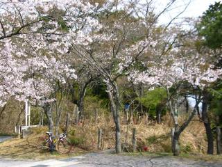 130410ninose-023.jpg