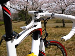 130410ninose-049.jpg
