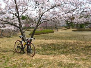 130410ninose-057.jpg