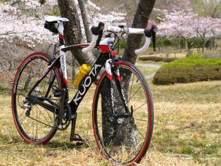 130410ninose-058.jpg