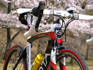 130410ninose-080.jpg