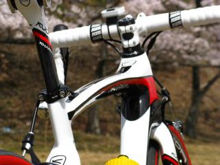 130410ninose-089.jpg