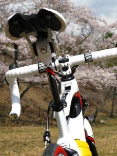 130410ninose-102.jpg