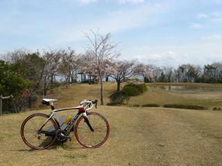 130410ninose-124.jpg