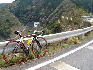 130410ninose-127.jpg