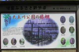 130421tennougawa-005.jpg