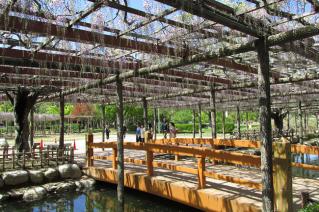 130421tennougawa-007.jpg