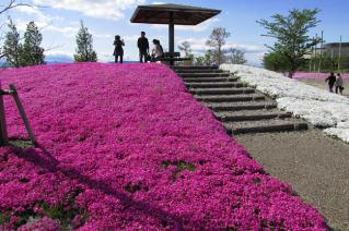 130421tennougawa-041.jpg