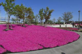 130421tennougawa-045.jpg