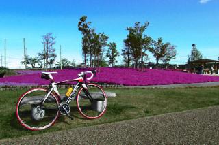 130421tennougawa-055.jpg
