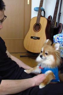 130429inu-009.jpg