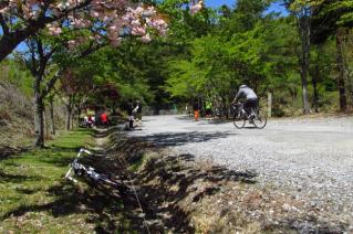 130503ninose-018.jpg