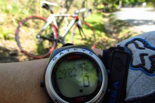 130512ninose-001.jpg