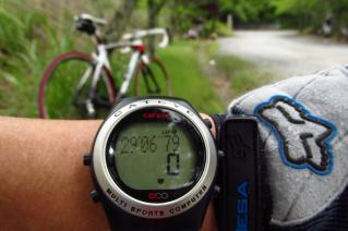 130602ninose-003.jpg