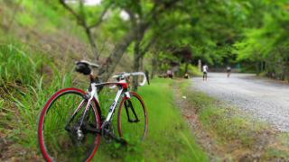 130602ninose-007.jpg
