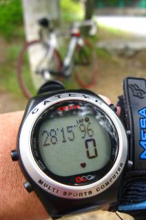 130615ninose-005.jpg