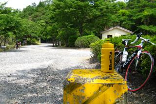130623ninose-001.jpg