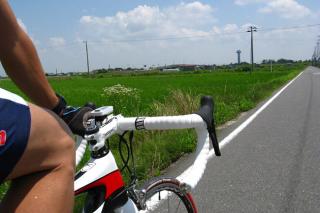130629ninose-089.jpg