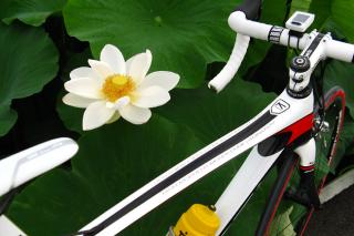 130706ninons-013.jpg