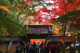 141123eigenji-018.jpg