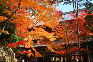 141123eigenji-045.jpg