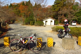 141124ninose-007.jpg