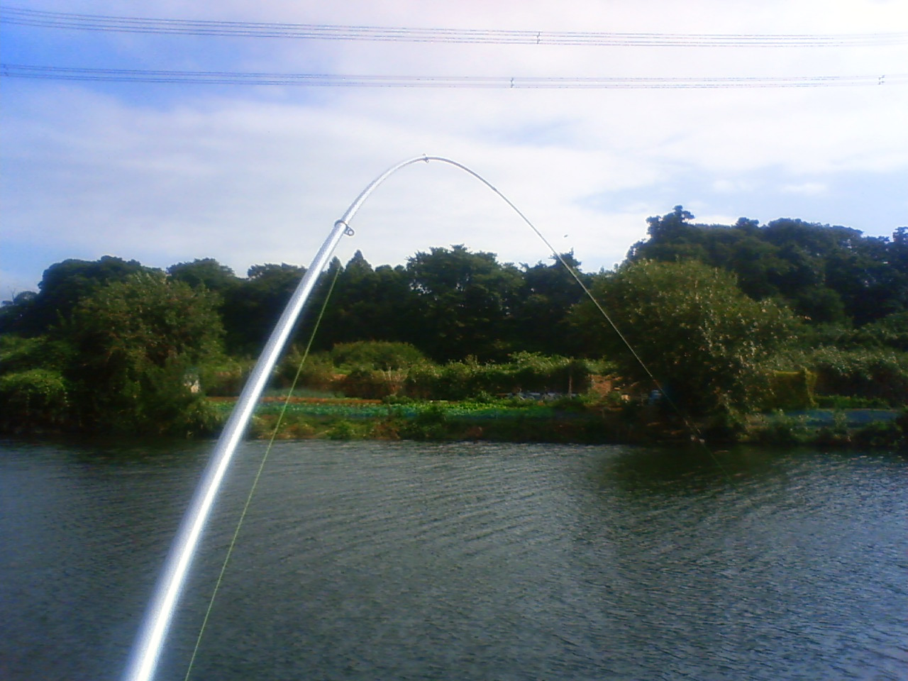 201409251354000.jpg