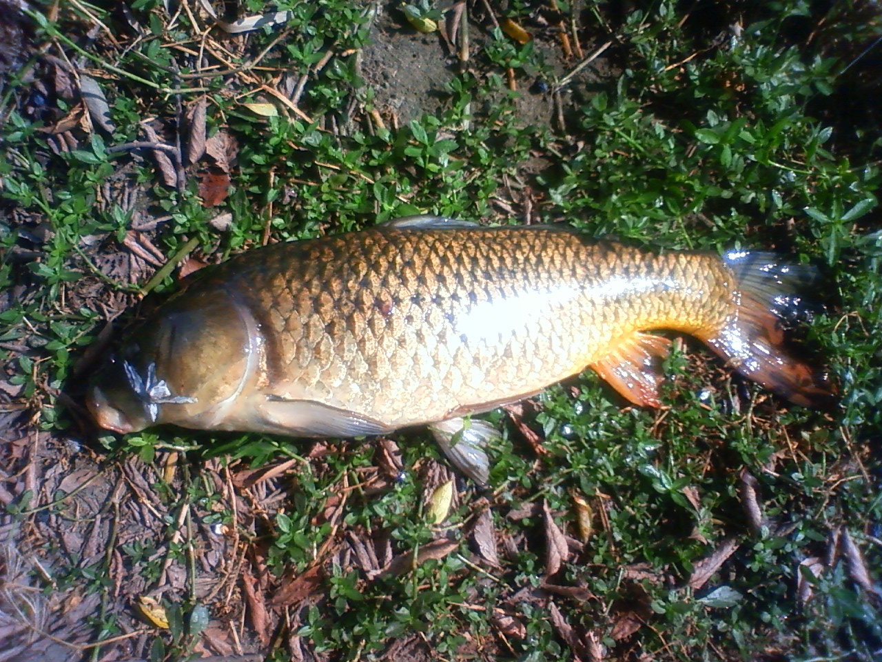 201409251400000.jpg