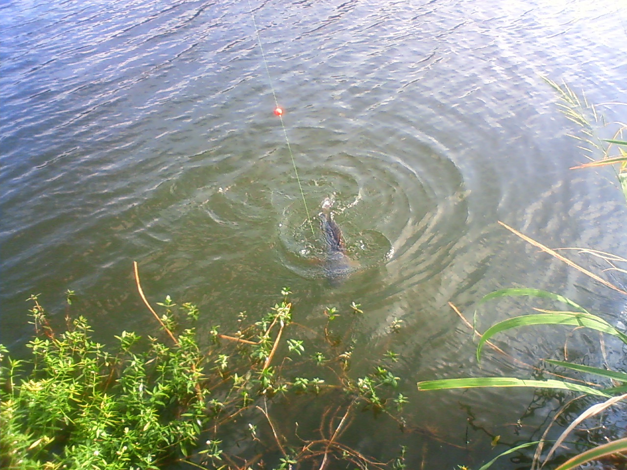 201409271428001.jpg