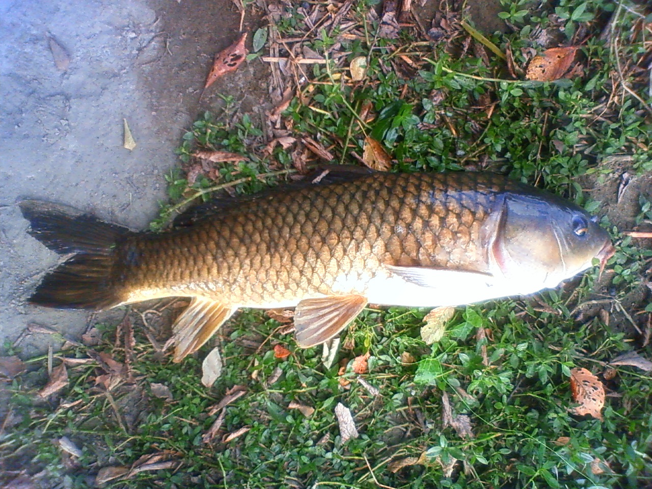 201409271430000.jpg