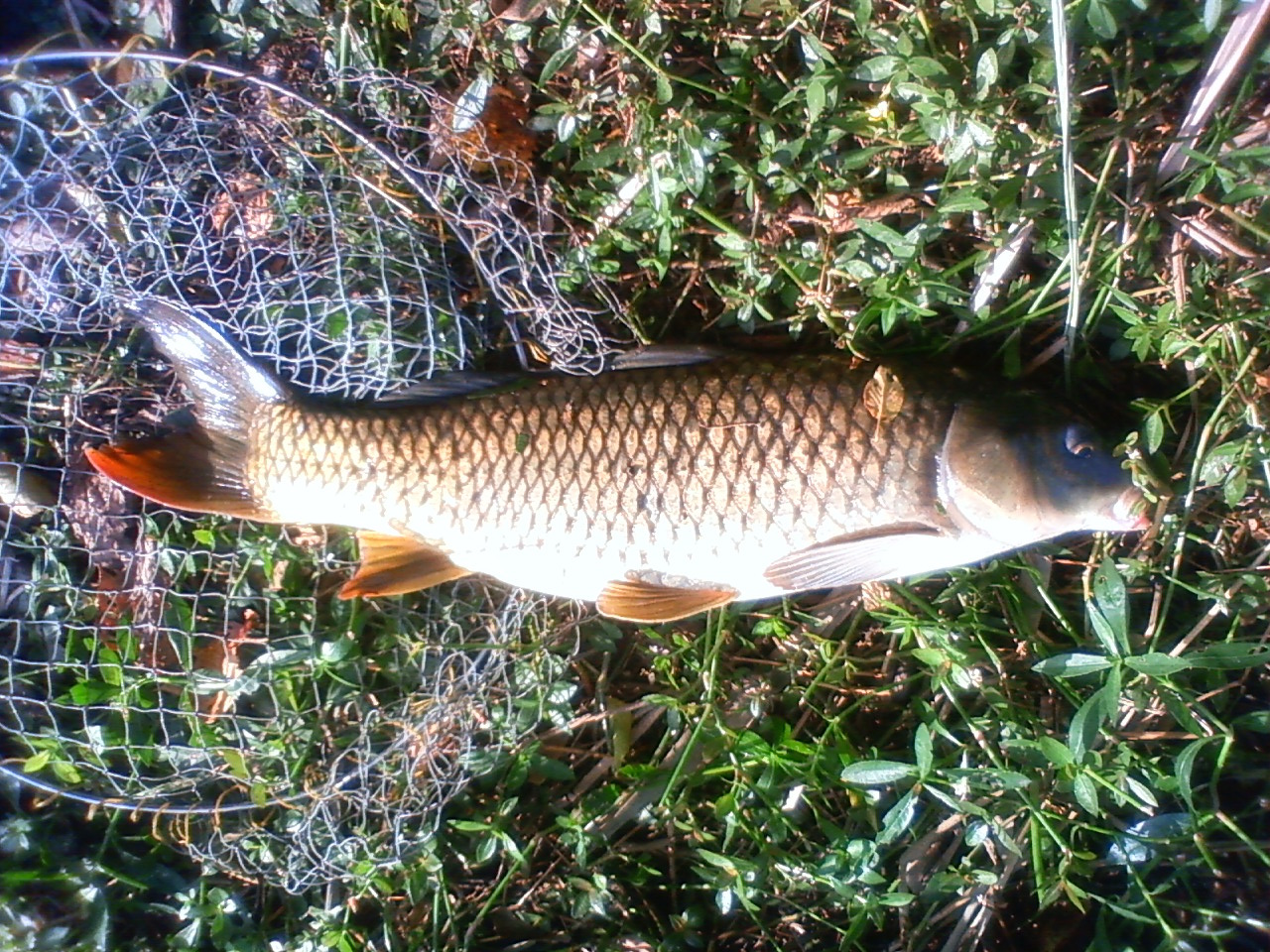 201409271528000.jpg
