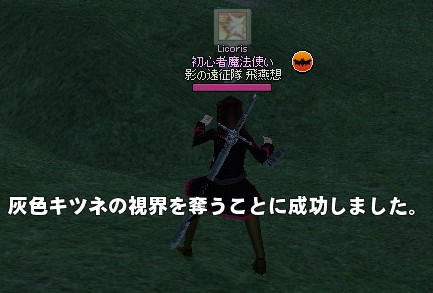 視界を奪うことに成功しました