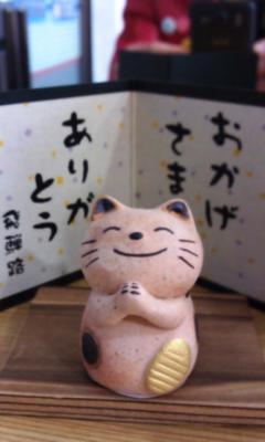 IMAG0154.jpg