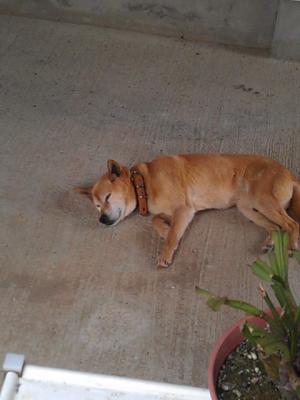 IMAG0352.jpg
