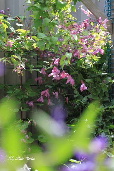 '13garden